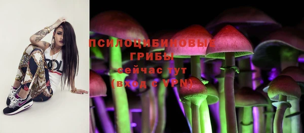мяу мяу мука Вяземский