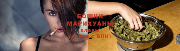 дживик Вязьма