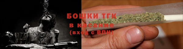 дживик Вязьма