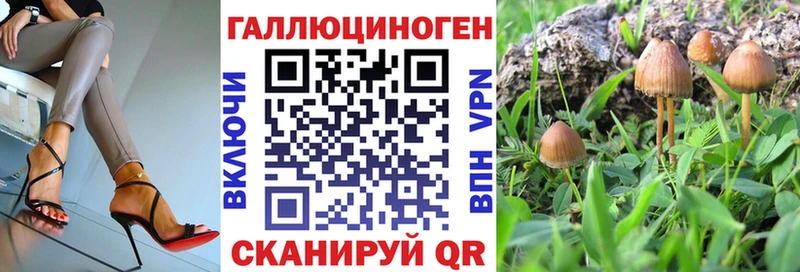 Галлюциногенные грибы Psilocybine cubensis  Троицк 